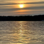©Terramore Bodendesign IMG 8640